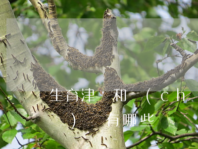 生育津貼和產(chǎn)假工資的區(qū)別有哪些？